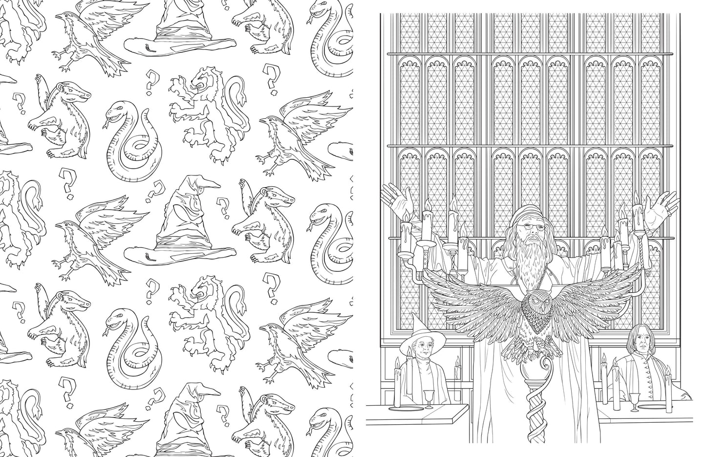 Harry Potter Coloring Book