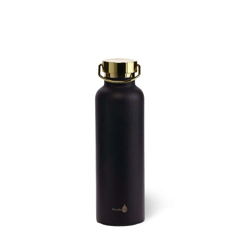 Insulated Water Bottle