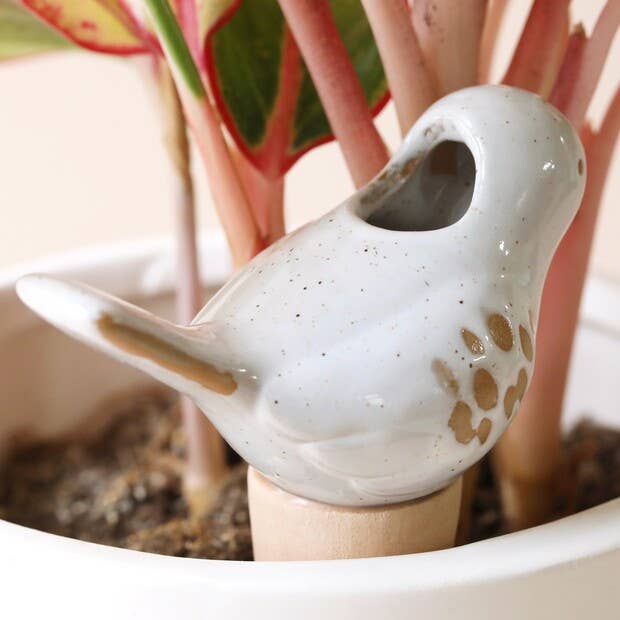 Bird Plant Watering Spike