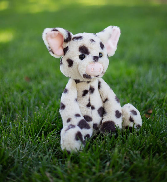 Spots Piggy Plush Toy for Kid