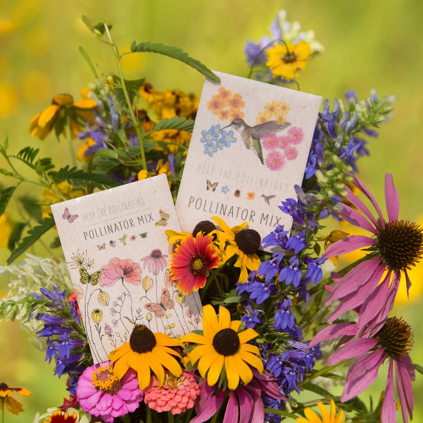 Pollinator Hummingbird - Wildflower Mix Seed Packets