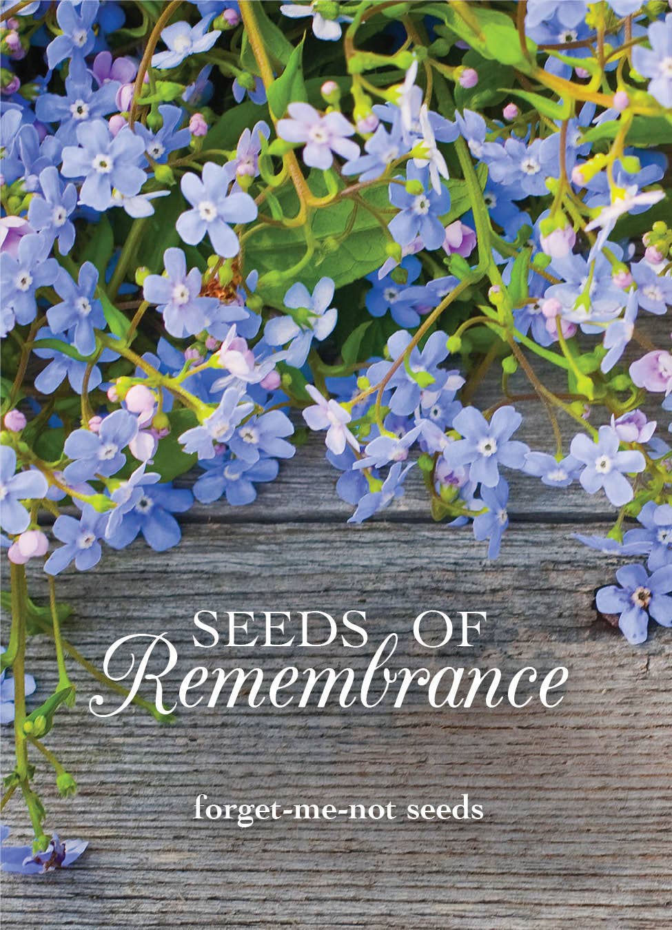 Seeds of Remembrance Memorial - Forget Me Not Seed Packets