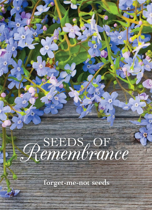 Seeds of Remembrance Memorial - Forget Me Not Seed Packets