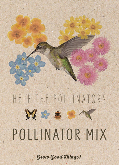 Pollinator Hummingbird - Wildflower Mix Seed Packets