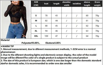 Color Sequin Mesh Top