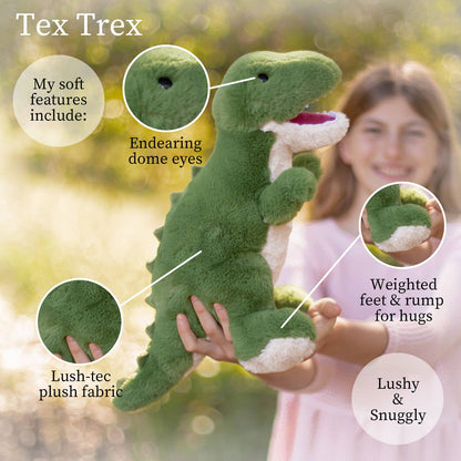 T-rex Plush Toy