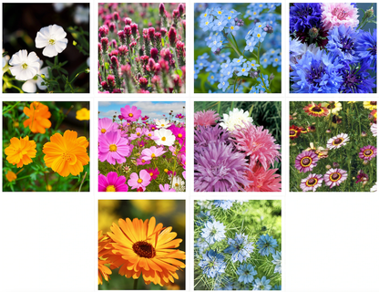 All You Need Is Love Bouquet Wildflowers