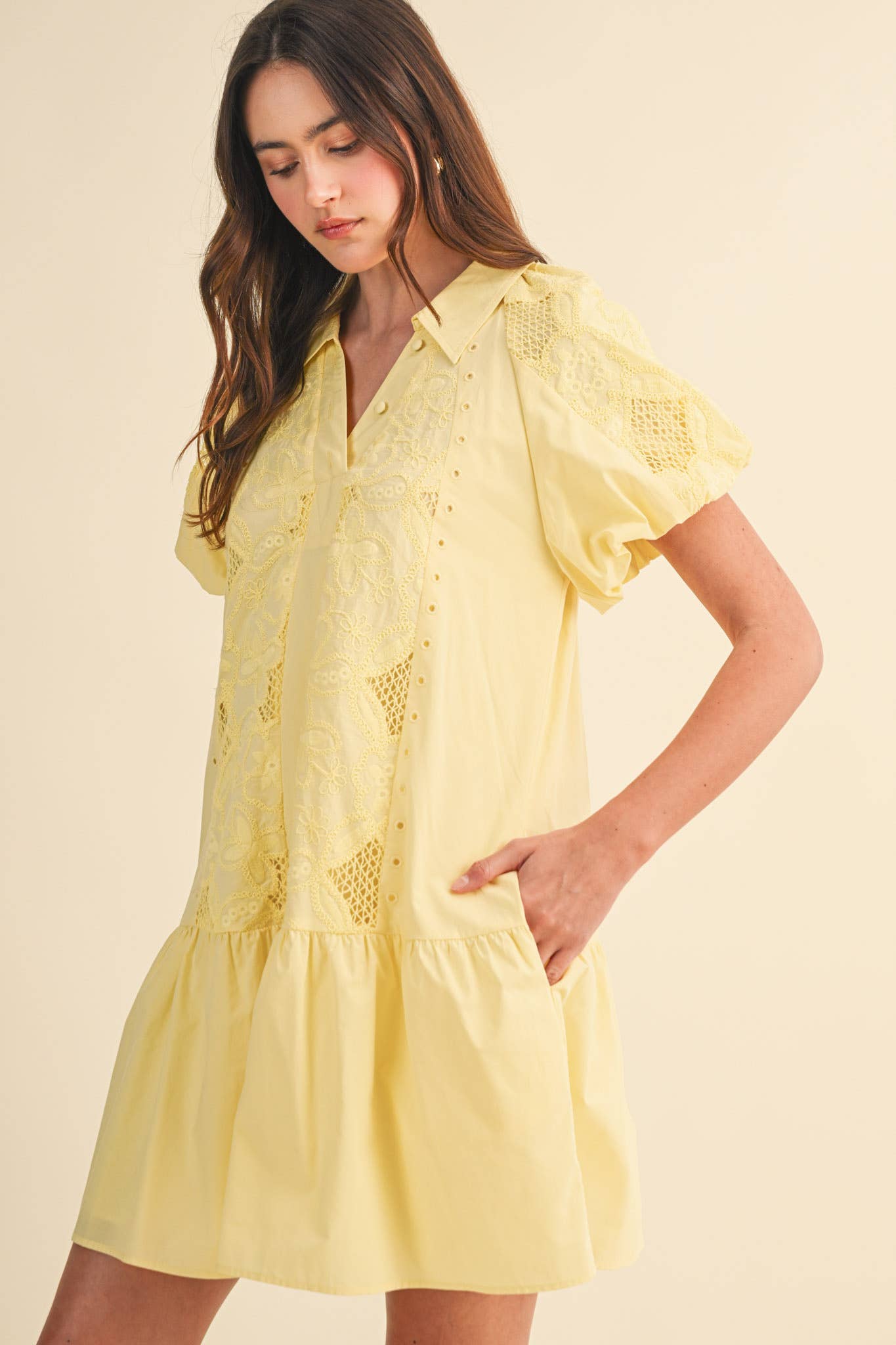 Floral Embroidery Mini Dress