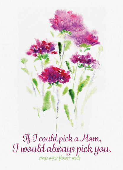 Always Pick You Mom - Aster Seed Packets