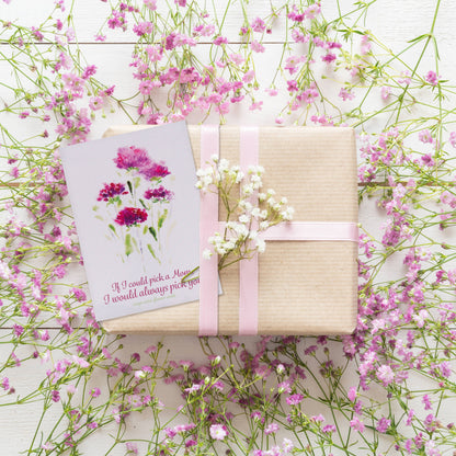 Always Pick You Mom - Aster Seed Packets