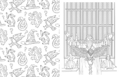 Harry Potter Coloring Book