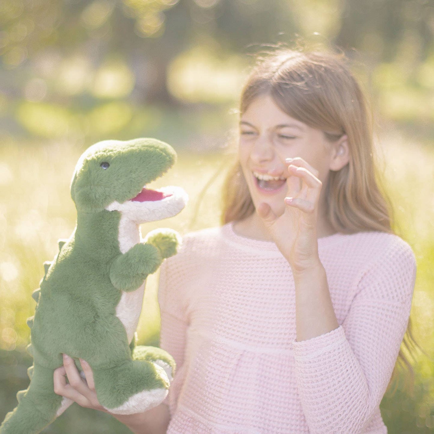 T-rex Plush Toy