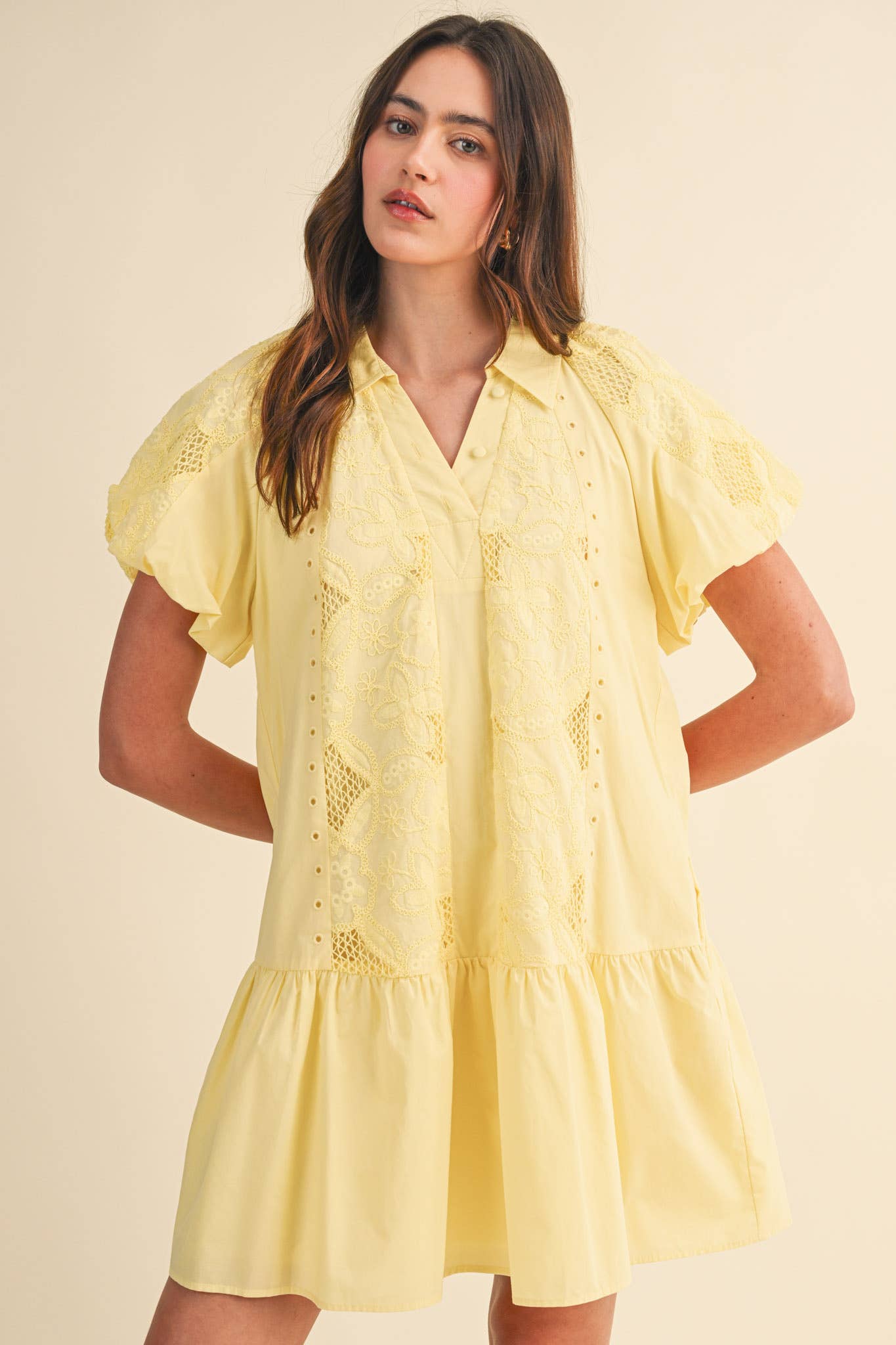 Floral Embroidery Mini Dress