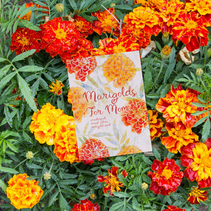 Marigolds for Mom Mother's Day - Marigold Seed Packets