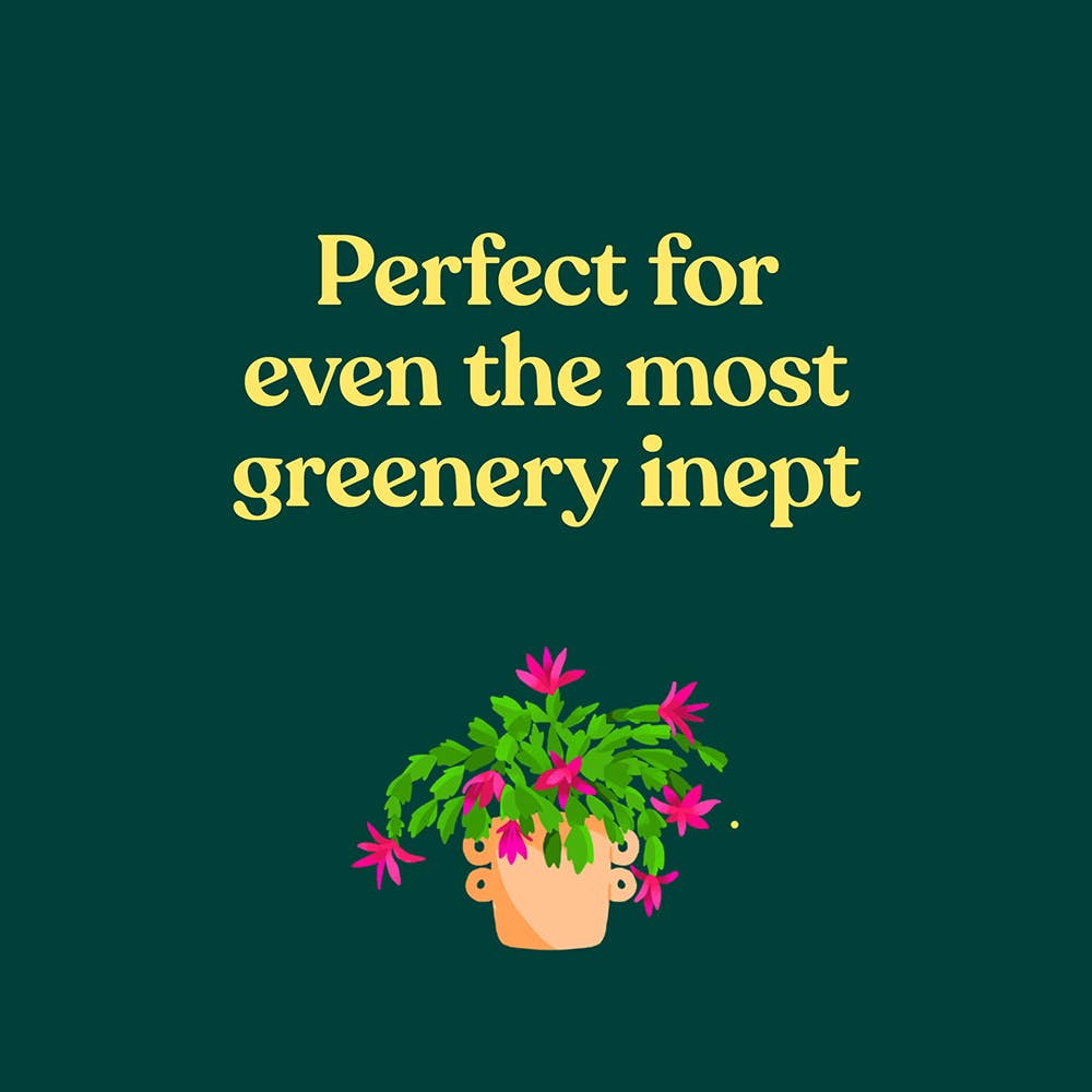 Green Dumb Guide to Houseplants