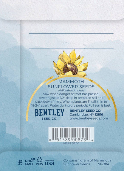 Thinking of You - Mammoth Sunflower Seed Packets