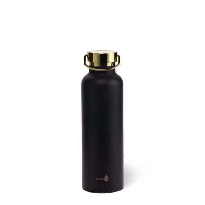Insulated Water Bottle