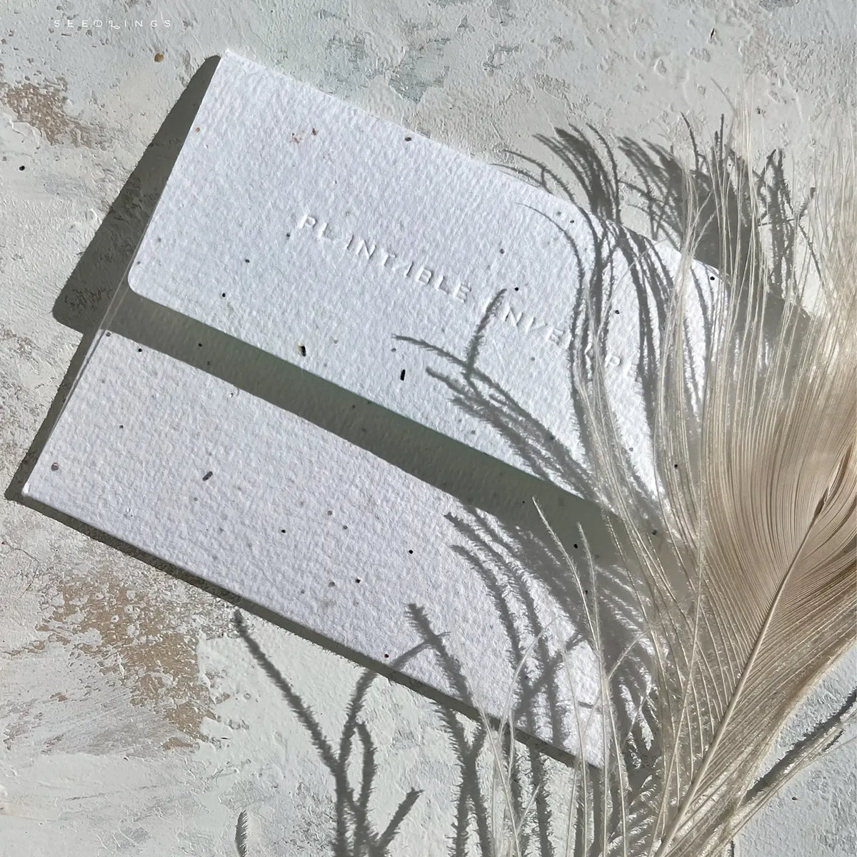 Graduation Card