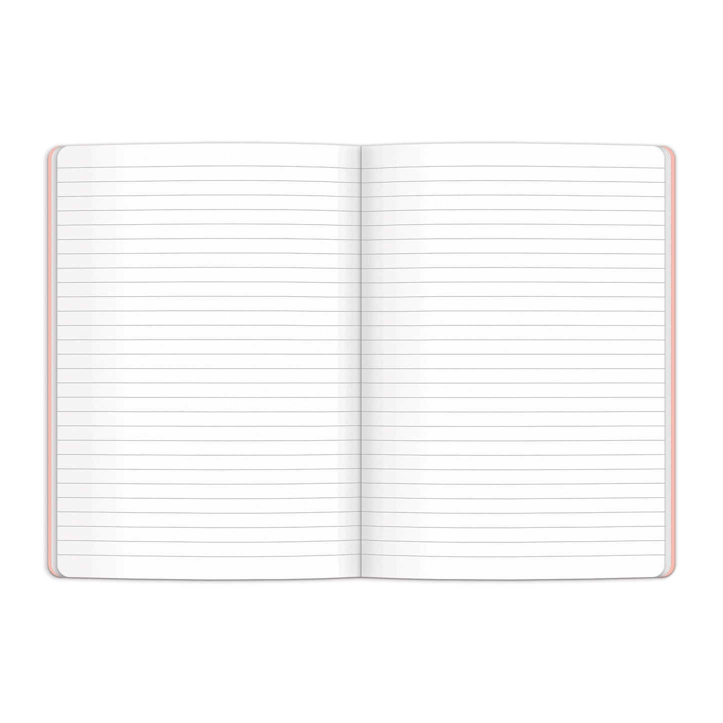 Joy Laforme Spring Street Writers Notebook Set