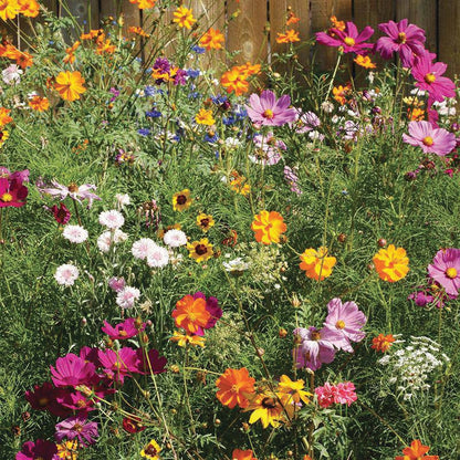 Bee Kind To Earth & Pollinators - Pollinator Flower Mix