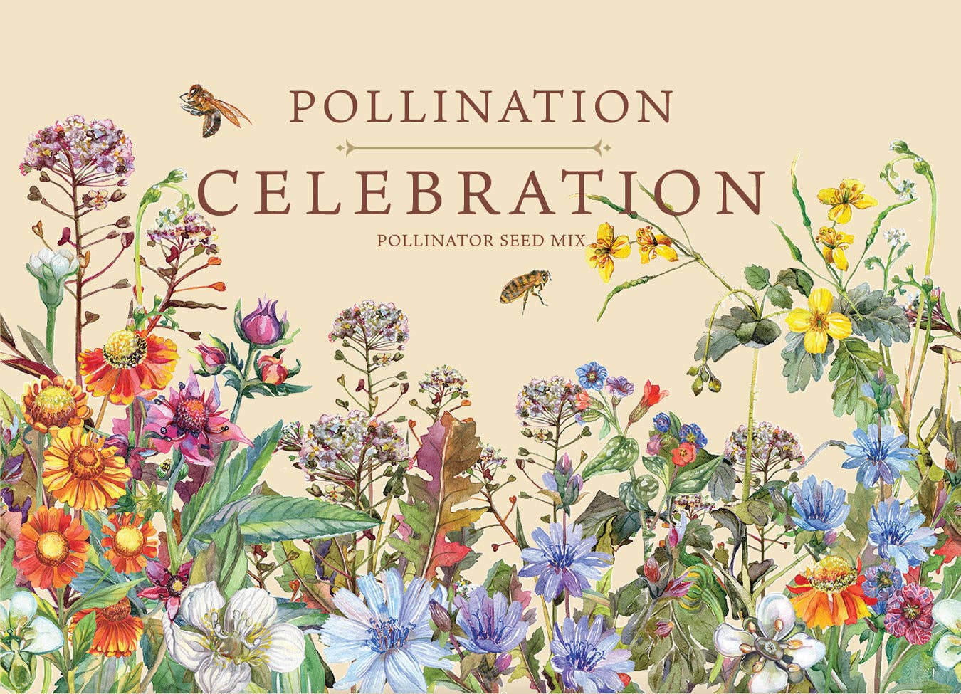 Pollination Celebration - Pollinator Wildflower Mix Seed Packets