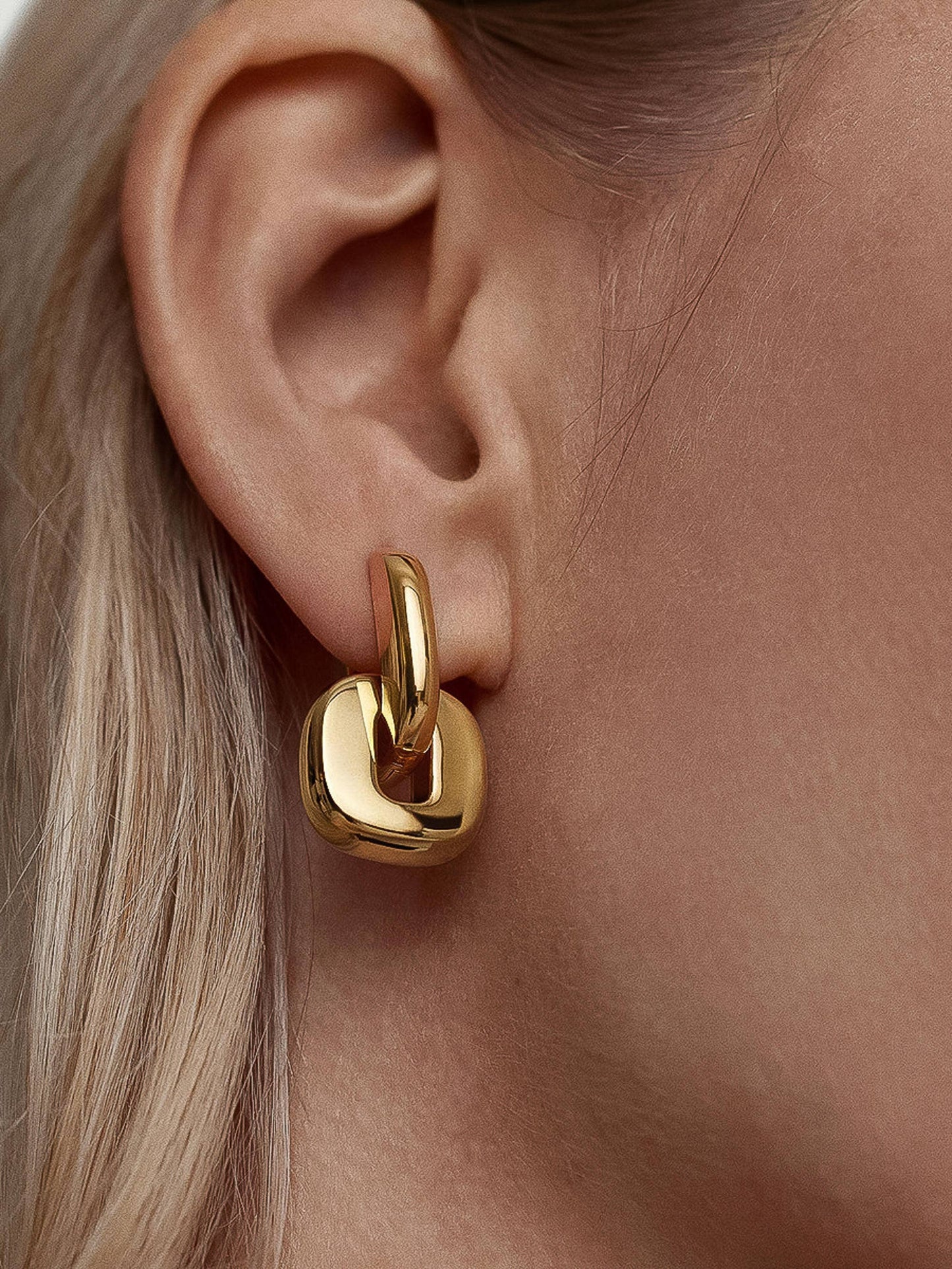 Arliss Link Earring