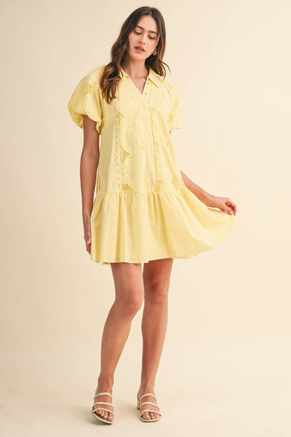 Floral Embroidery Mini Dress