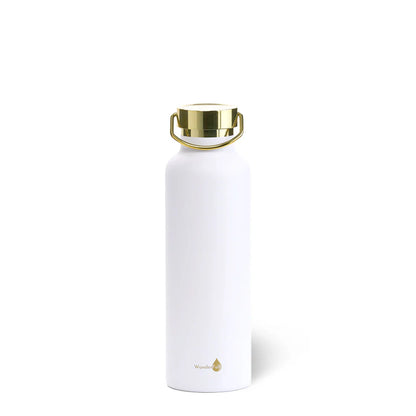 Insulated Water Bottle