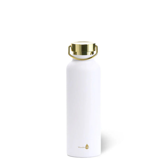 Insulated Water Bottle
